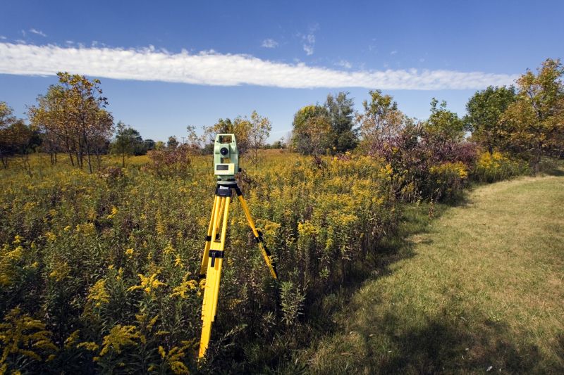 Environmental Surveyors